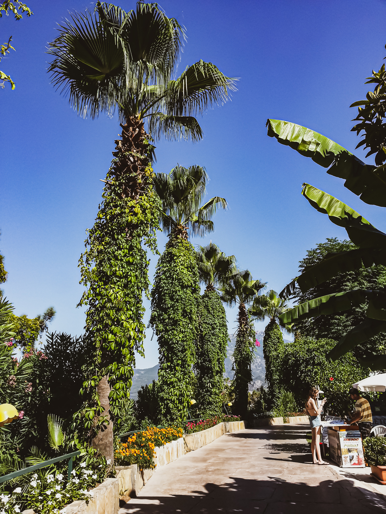 Things to do in Turkey