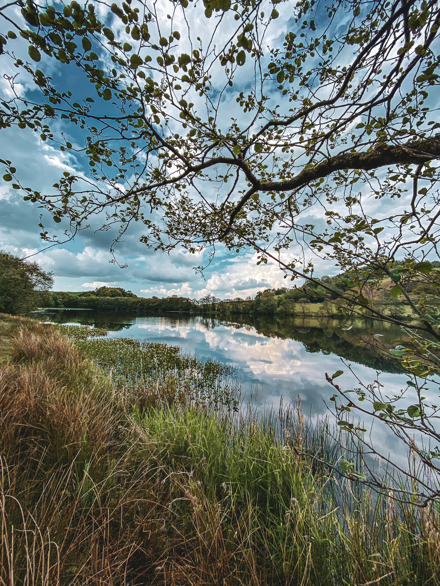 Things to do in Wales