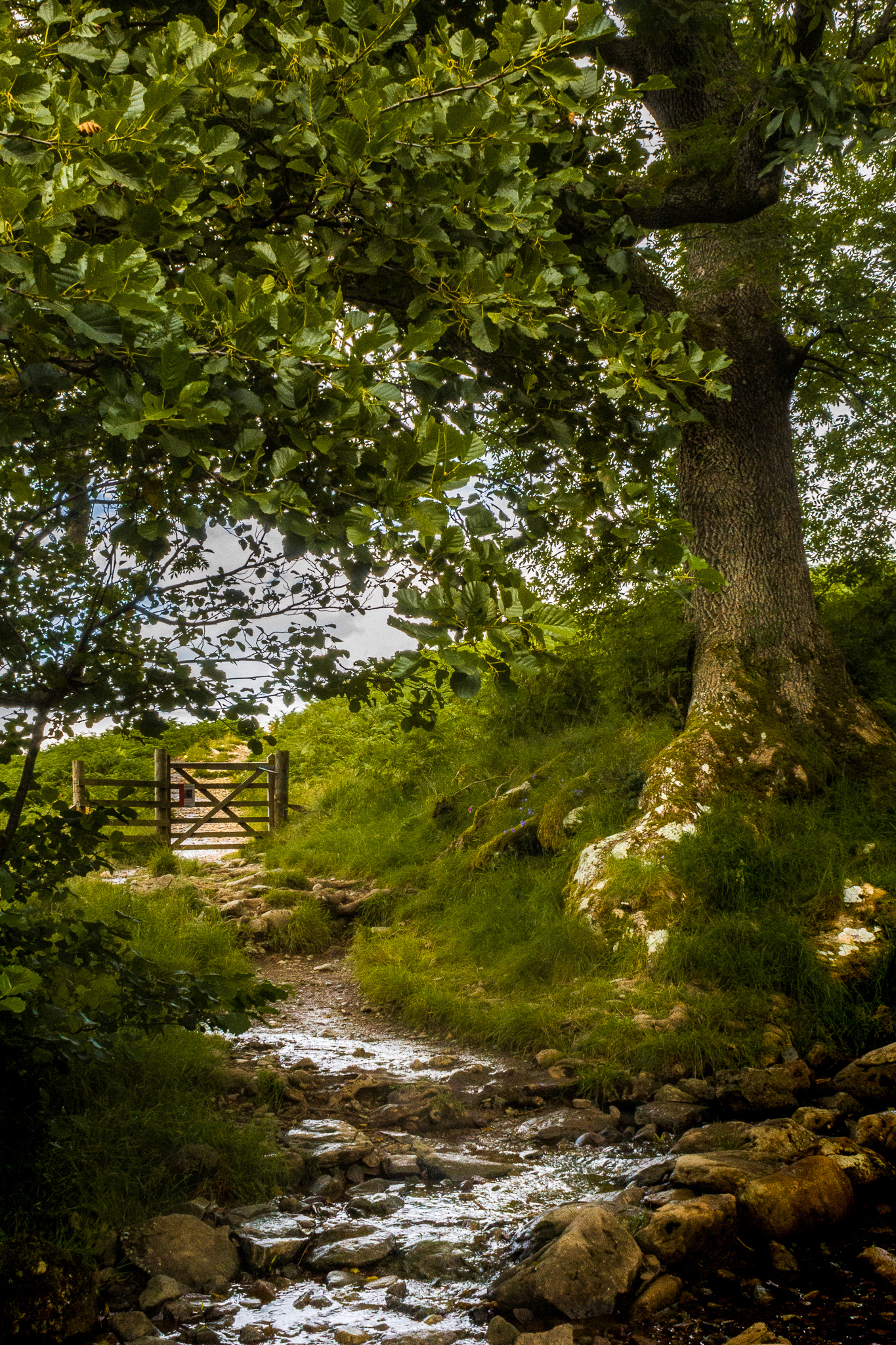 Ullswater in the lake district