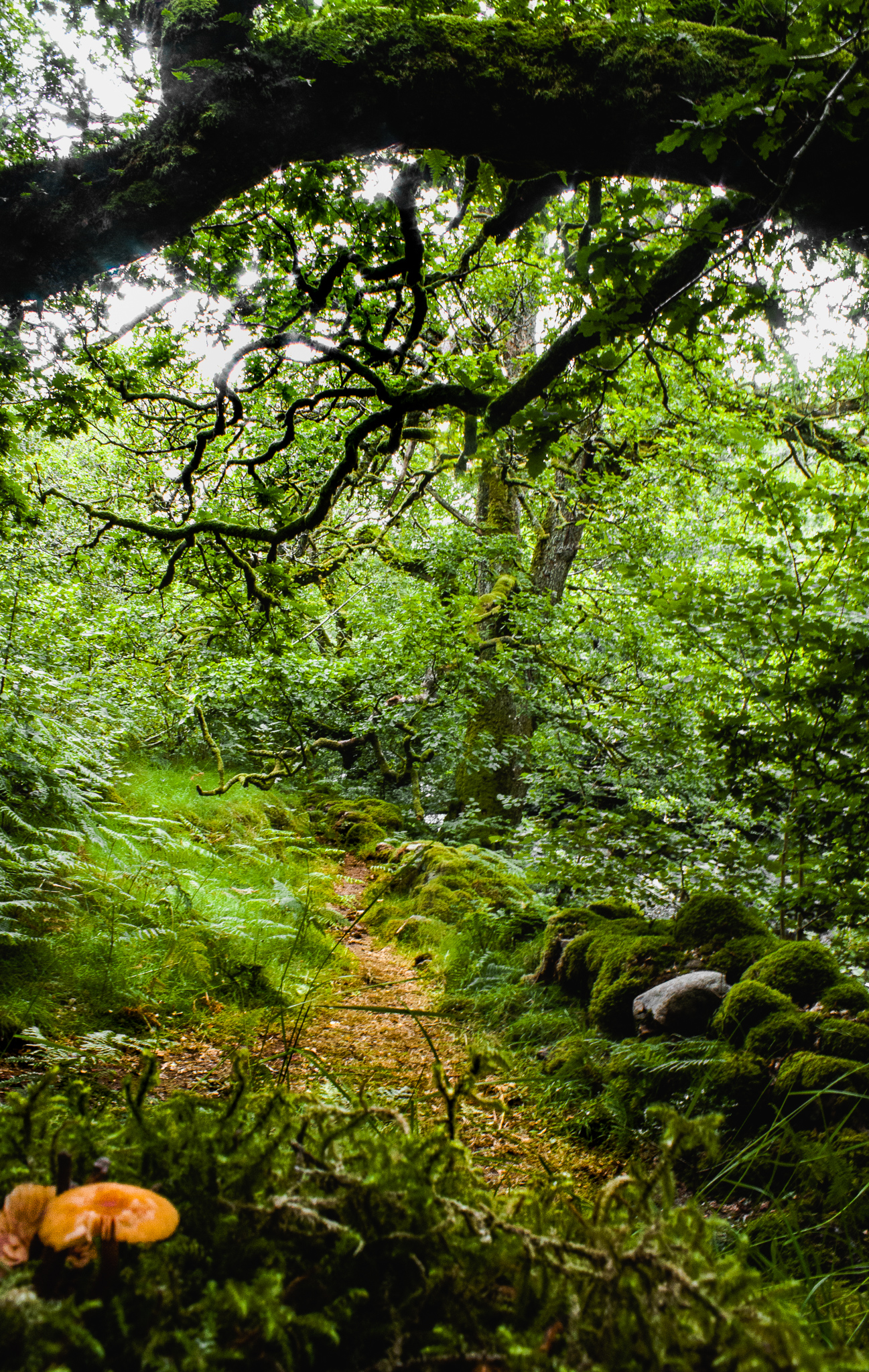 Ullswater in the lake district