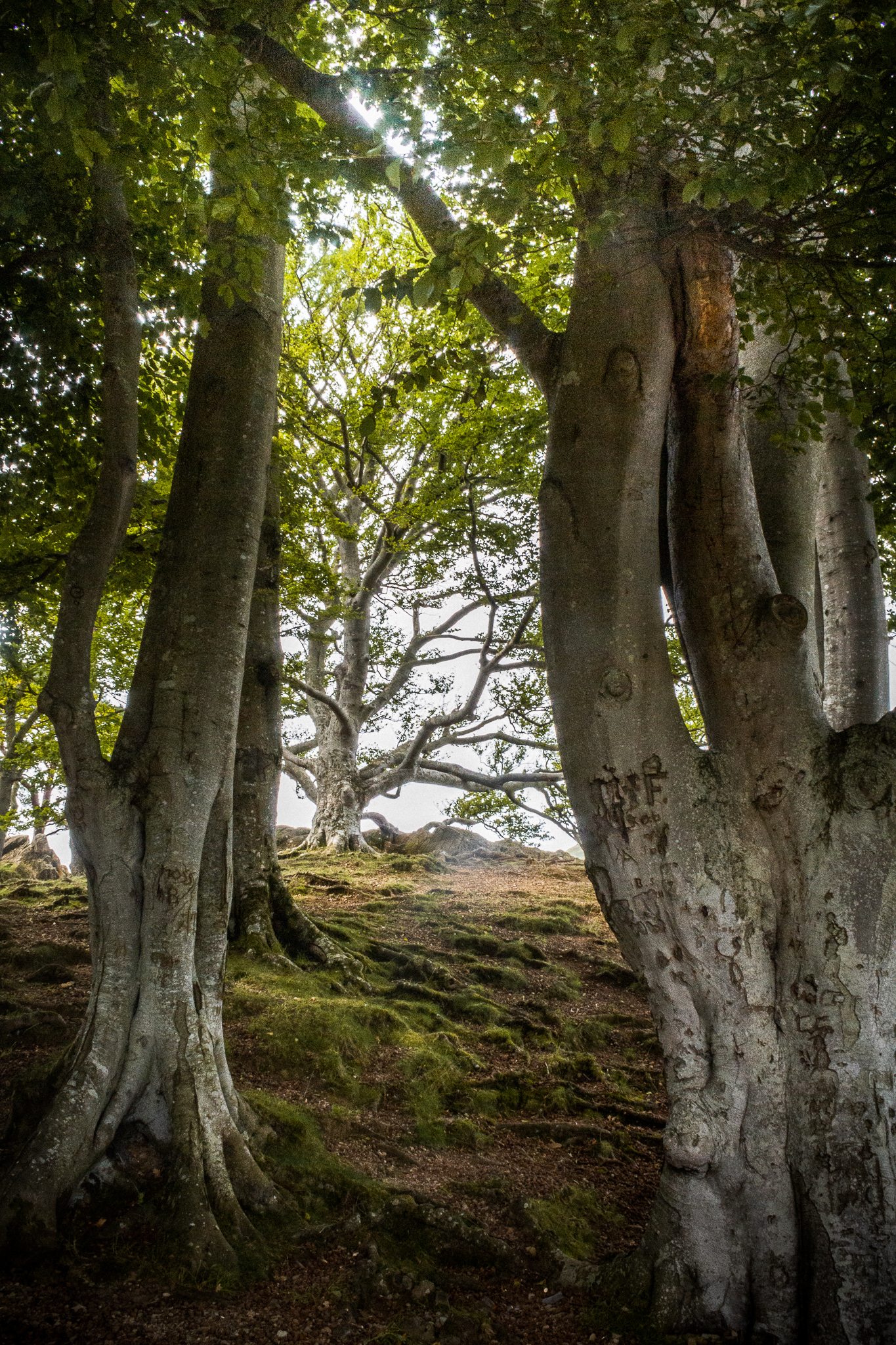 Ullswater in the lake district