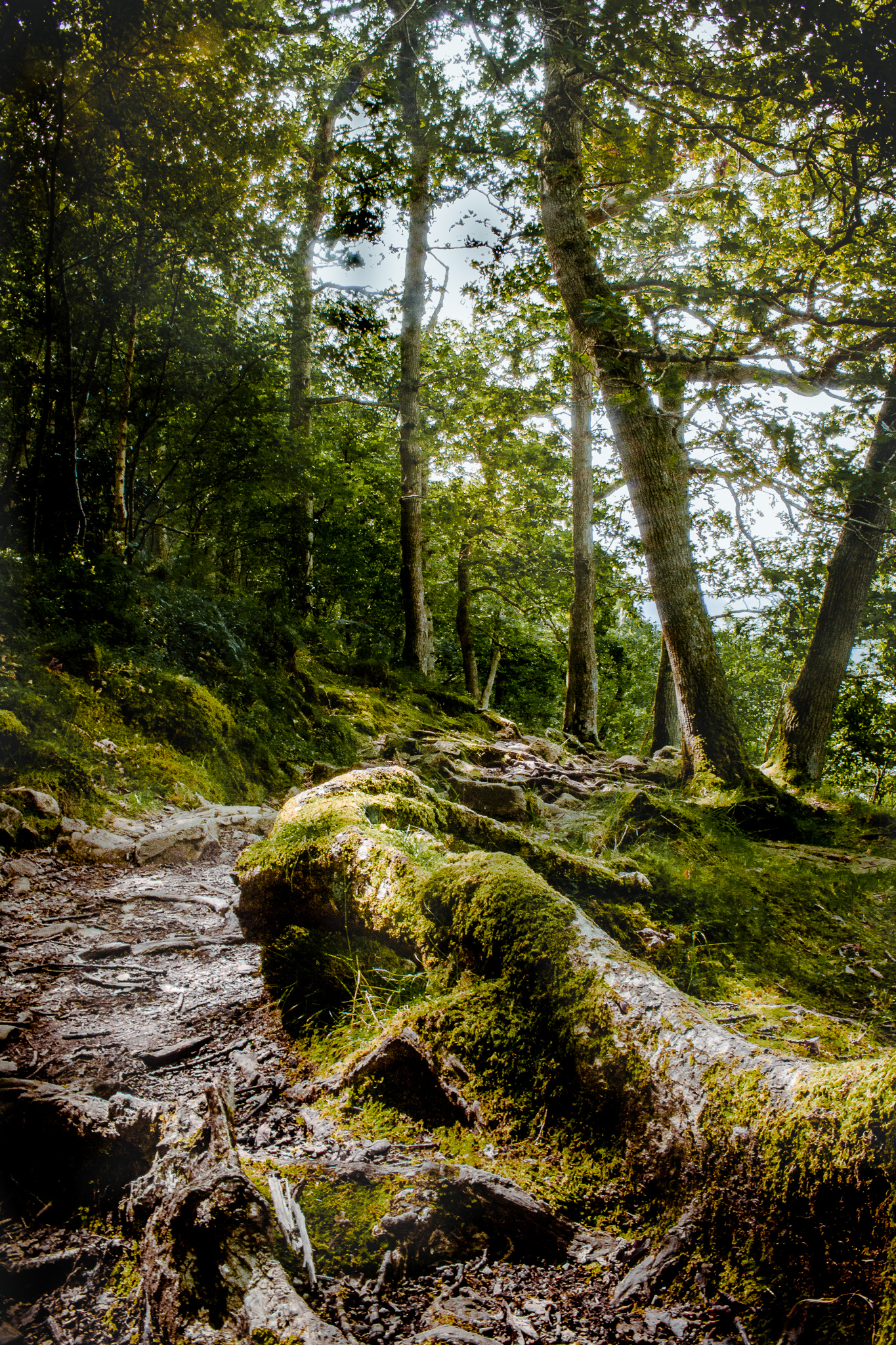 Ullswater in the lake district