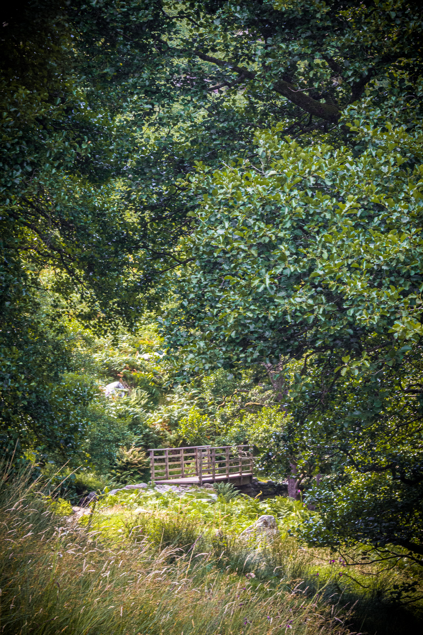 Ullswater in the lake district