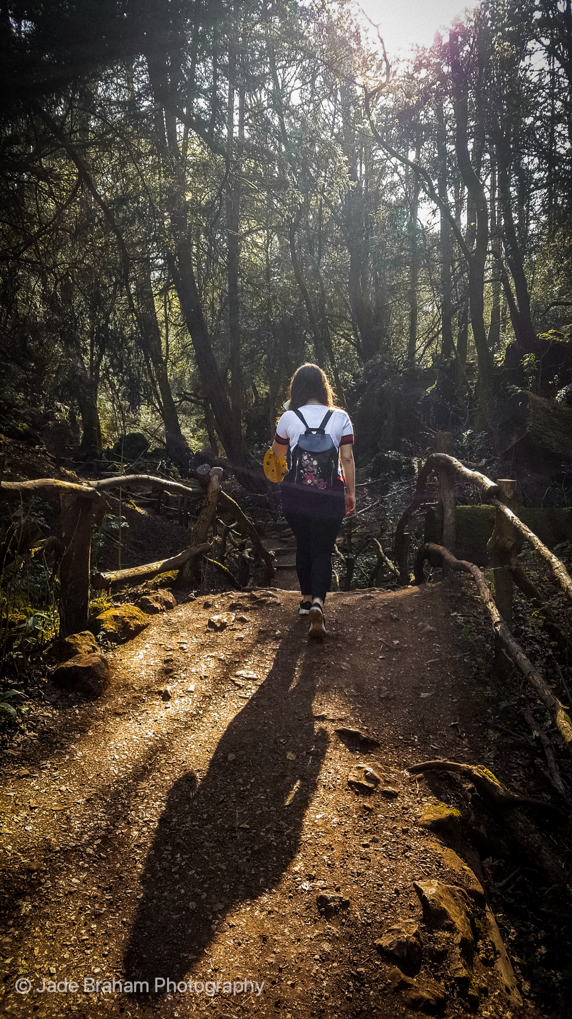 Puzzlewood Forest