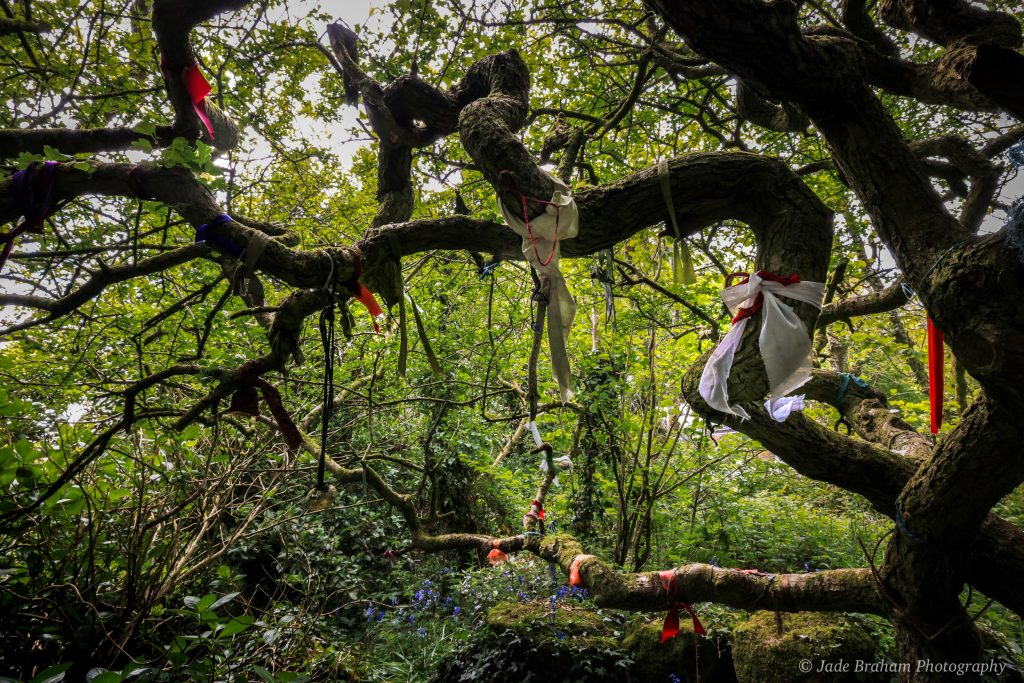 Madron clootie tree at Carn Euny Ancient Village