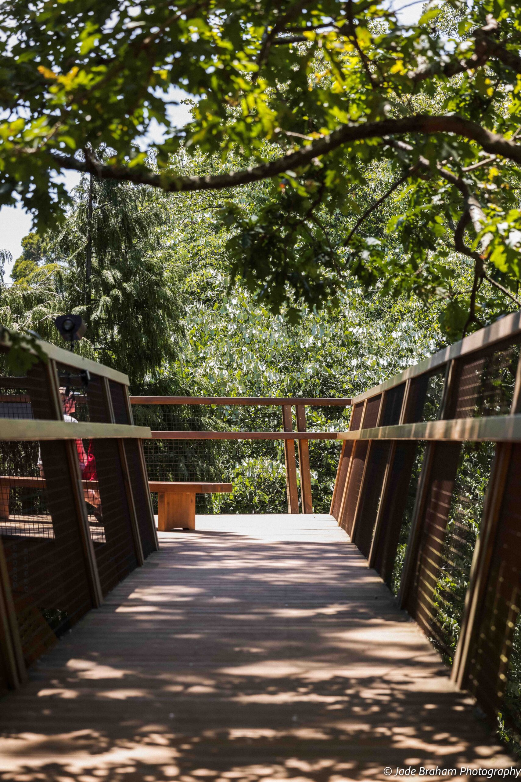 Serralves Park and Treetop Walk