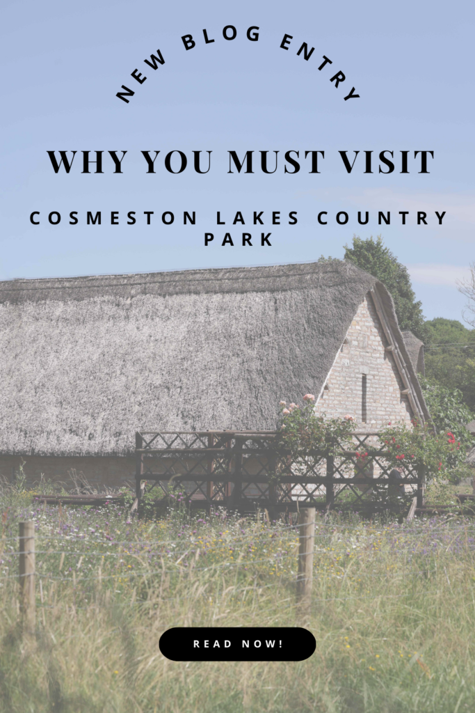 Cosmeston Lakes Country Park Pinterest pin.