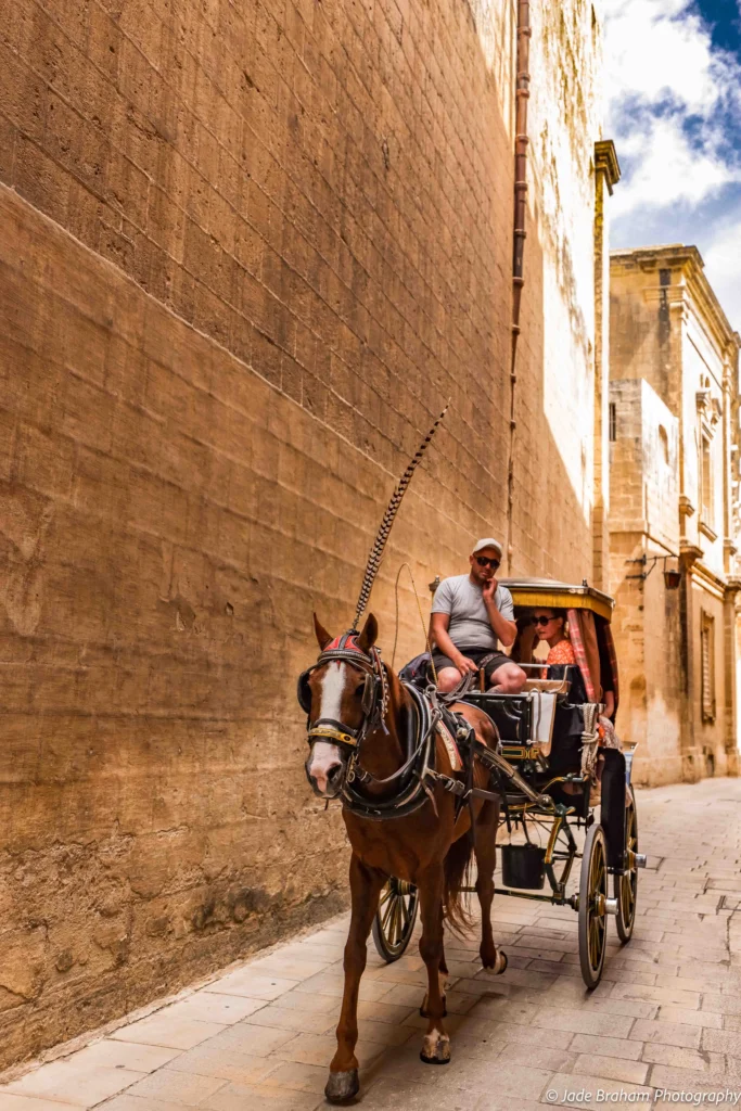 There is a horse and cart driving down Mdina's streets. 