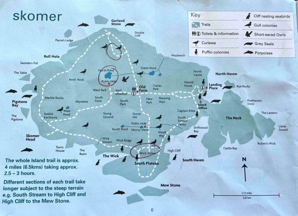 Skomer Island Map