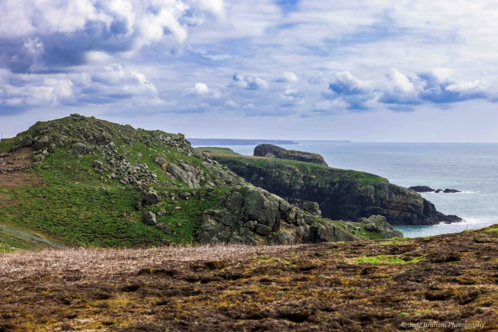 You'll get amazing coastal views of Pembrokeshire from Skomer Head this Skomer Island Boat Trip