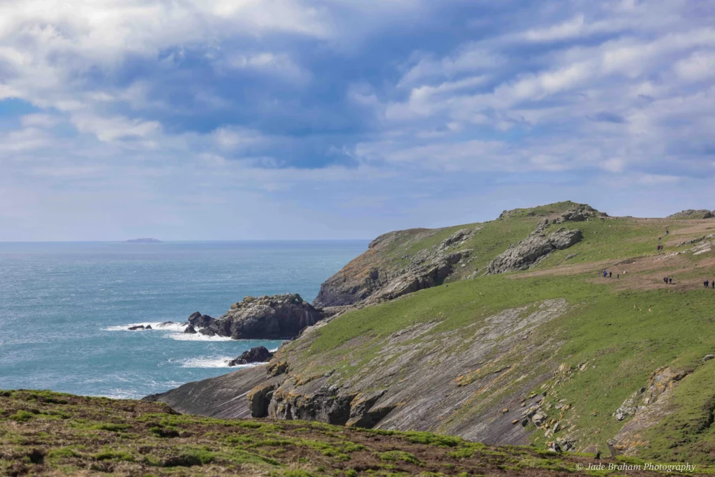 You'll get amazing coastal views of Pembrokeshire from Skomer Head 