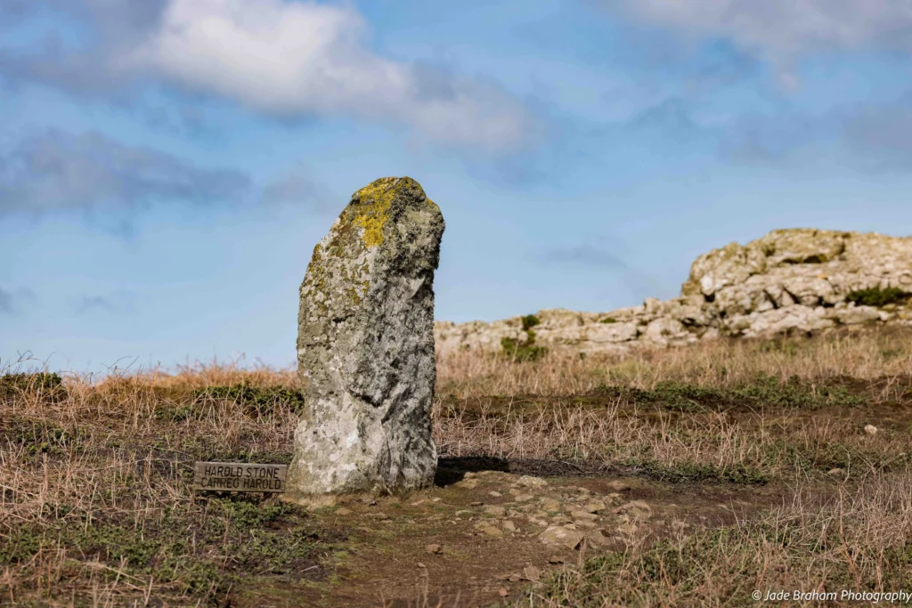 The Harold Stone on Skomer Island
