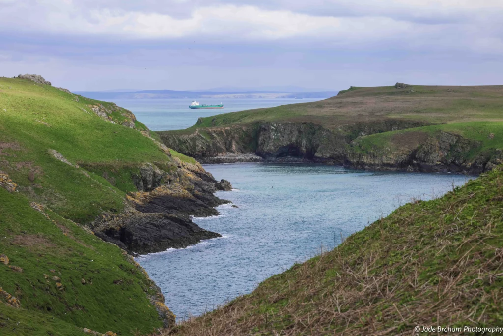 You'll get amazing coastal views of Pembrokeshire on this Skomer Island Boat Trip