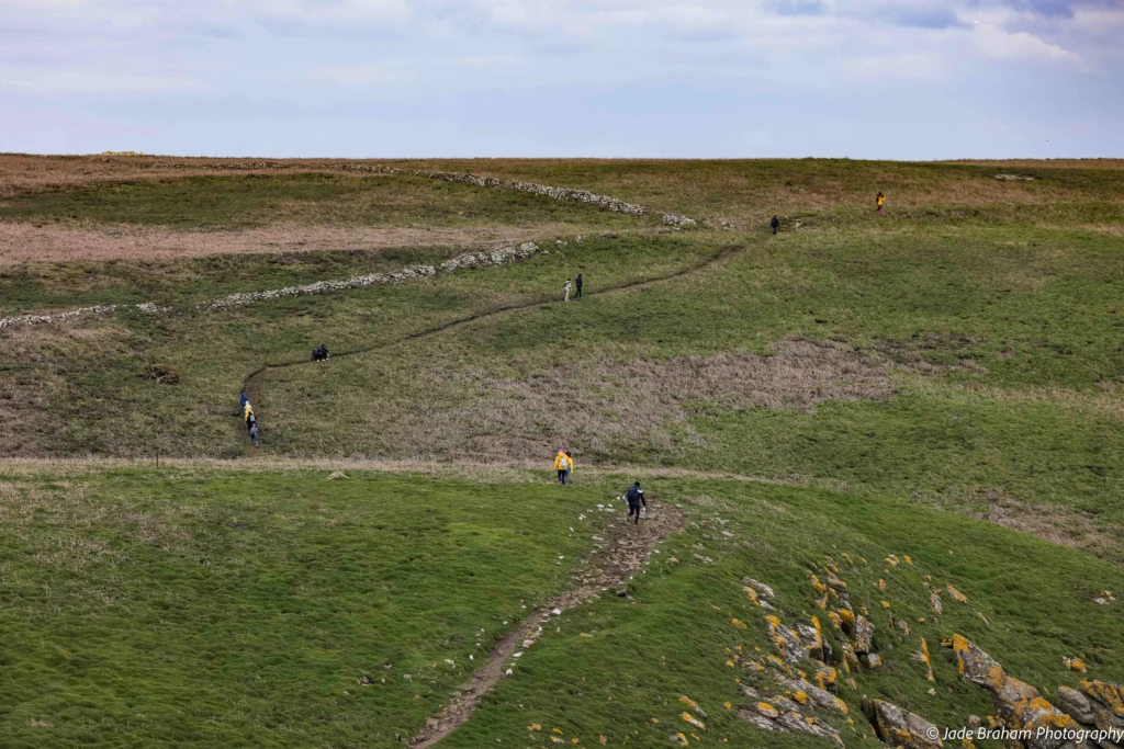People are walking the narrow path leading through the South Stream Valley on Skomer Island