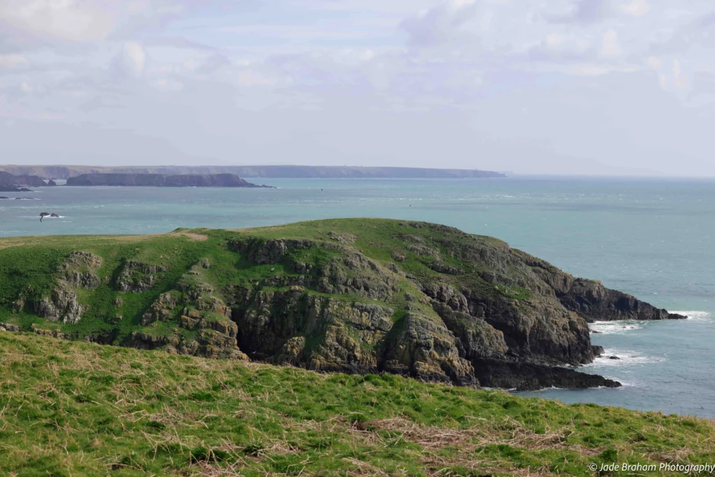 You'll get amazing coastal views of Pembrokeshire at Skomer Island