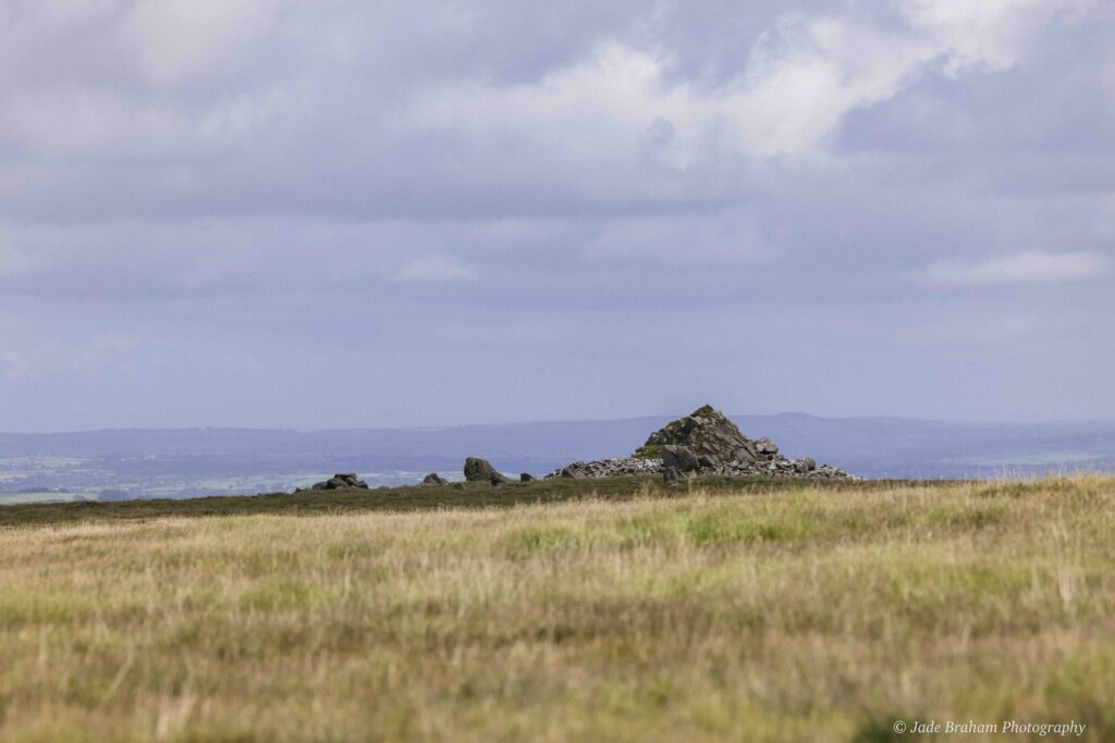 There are many rocky outcrops in the Preseli Hills