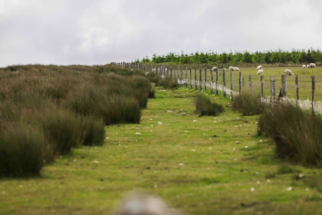 The starting point of the Golden Road