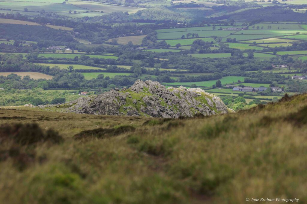 There are many rocky outcrops in the Preseli Hills