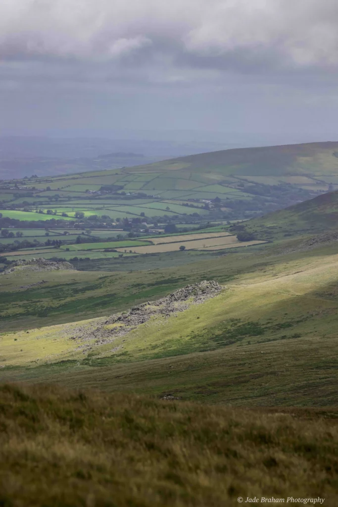 Ancient Ruins in the Preseli Hills