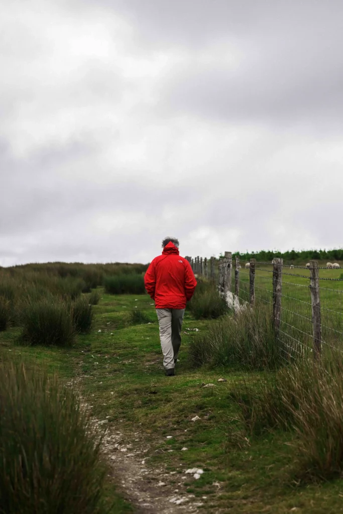 Hiking the Golden Road Walk in the Preseli Hills