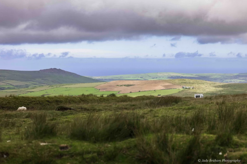 Views from The Golden Road Walk