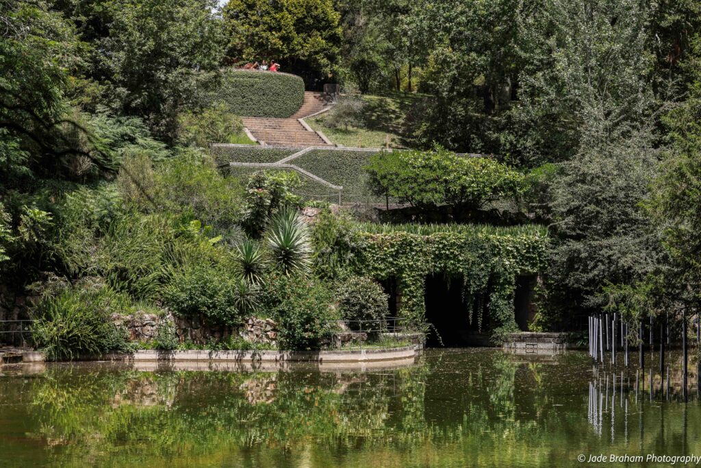 Lake in Serralves Park.