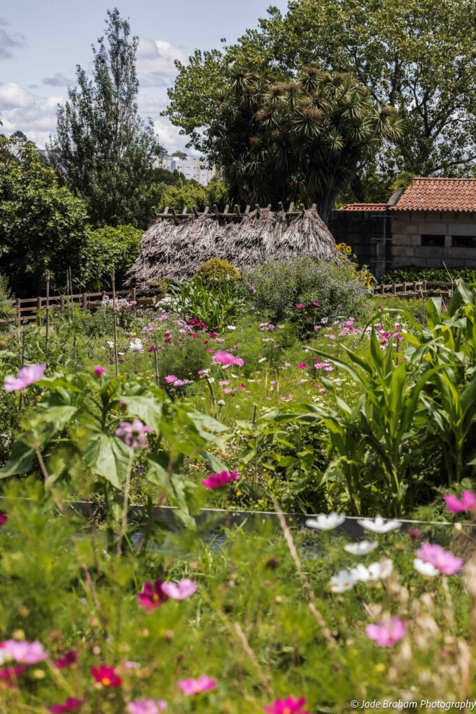 Serralves Park has a flowery farm