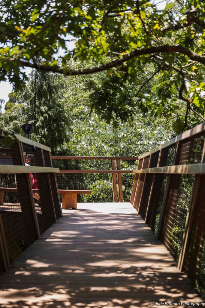 Treetop walk in Serralves Park