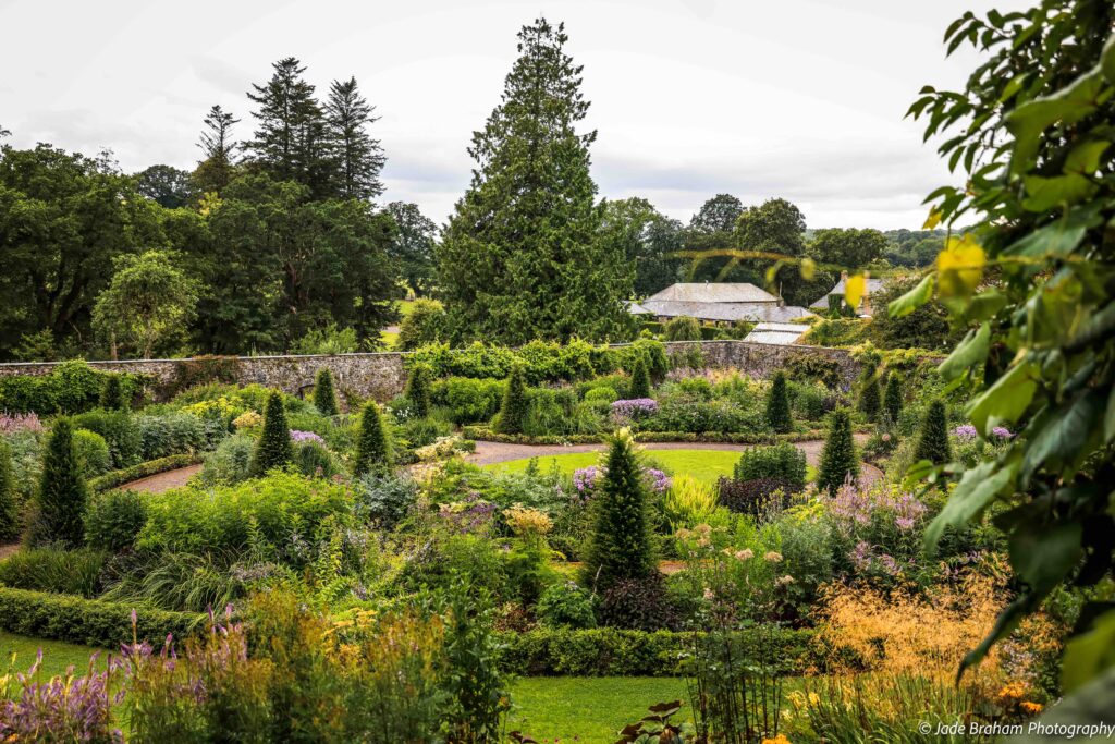 Jane Austen Road Trip in West Wales - Aberglasney gardens's walled garden is full of colourful plants. 