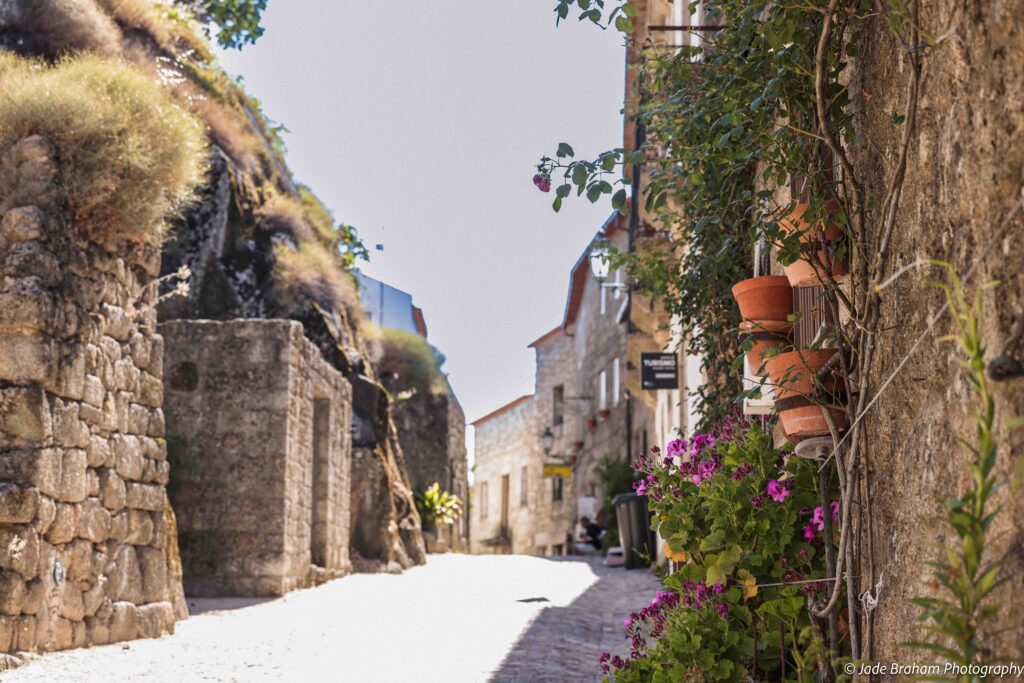 There are many potted plants lining the streets in Monsanto.